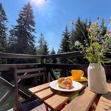 Апартамент Горска Приказка - Forest Tale Smolyan Exterior foto