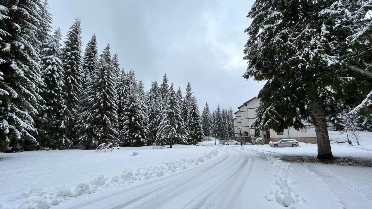 Апартамент Горска Приказка - Forest Tale Smolyan Exterior foto